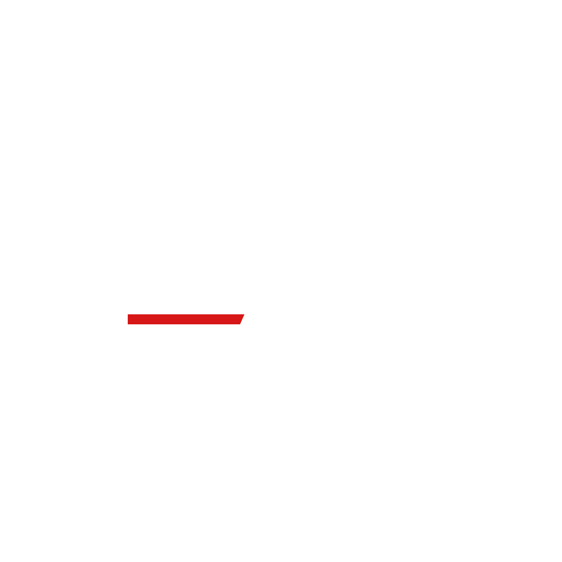 DS AUTO